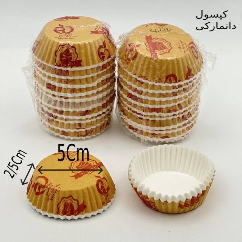 دانمارکی